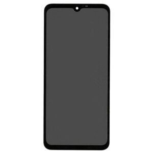 Écran LCD + Tactile Samsung Galaxy Xcover 6 Pro SM-G736B - GH82-29187A/GH82-29188A - Noir