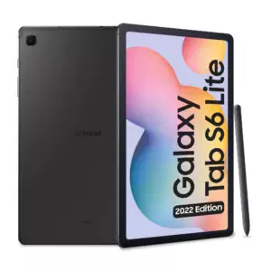 SM-P613 Galaxy Tab S6 Lite (2022) (Wi-Fi)