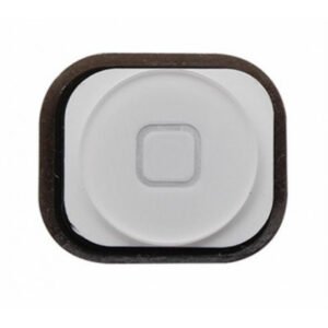 Apple iPhone 5G Home button  Blanc