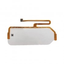 Nappe pour lampe de poche Asus ROG Phone 5 (ZS673KS) - Pour capot arrière